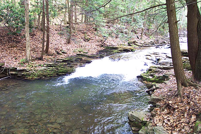 “The Falls” on Bells Gap Run