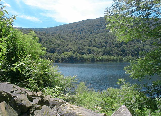 Bellwood Reservoir - Looking West